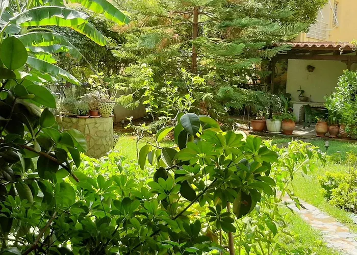 Lovely House
